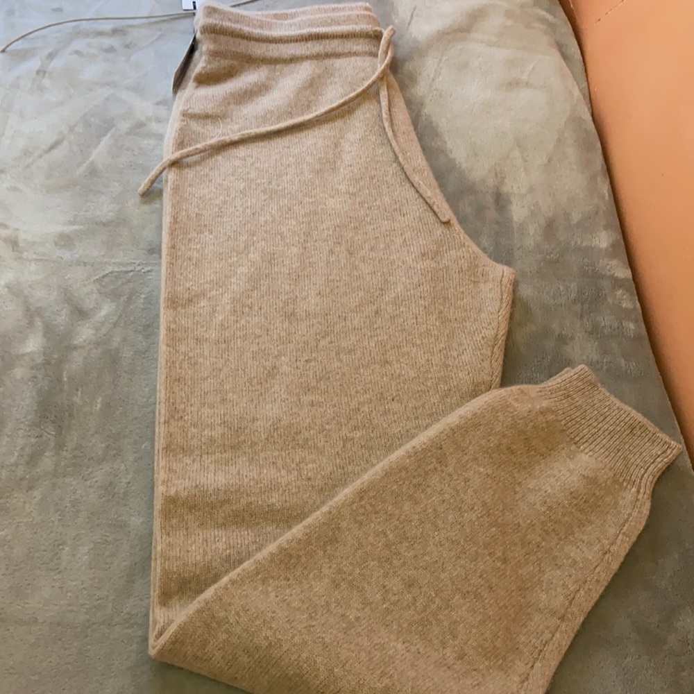 Aritzia Luxe Cashmere Jogger